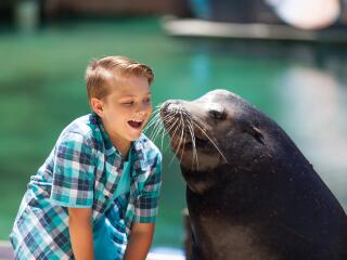 Sea World Seal Meet and Greet